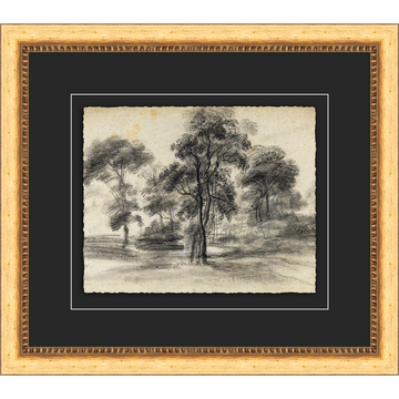 Tree Sketch