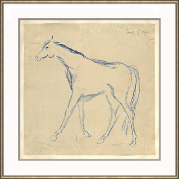 Horse Sketch