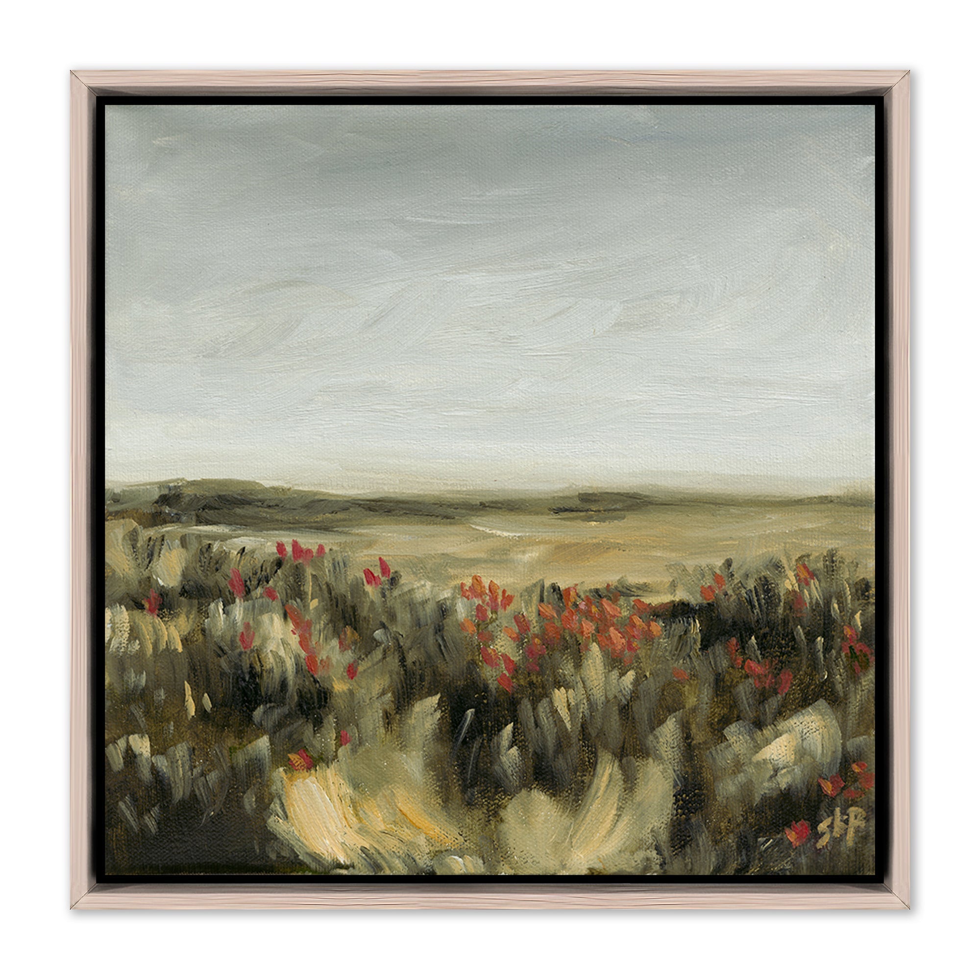 Flower Field by Shaina Page