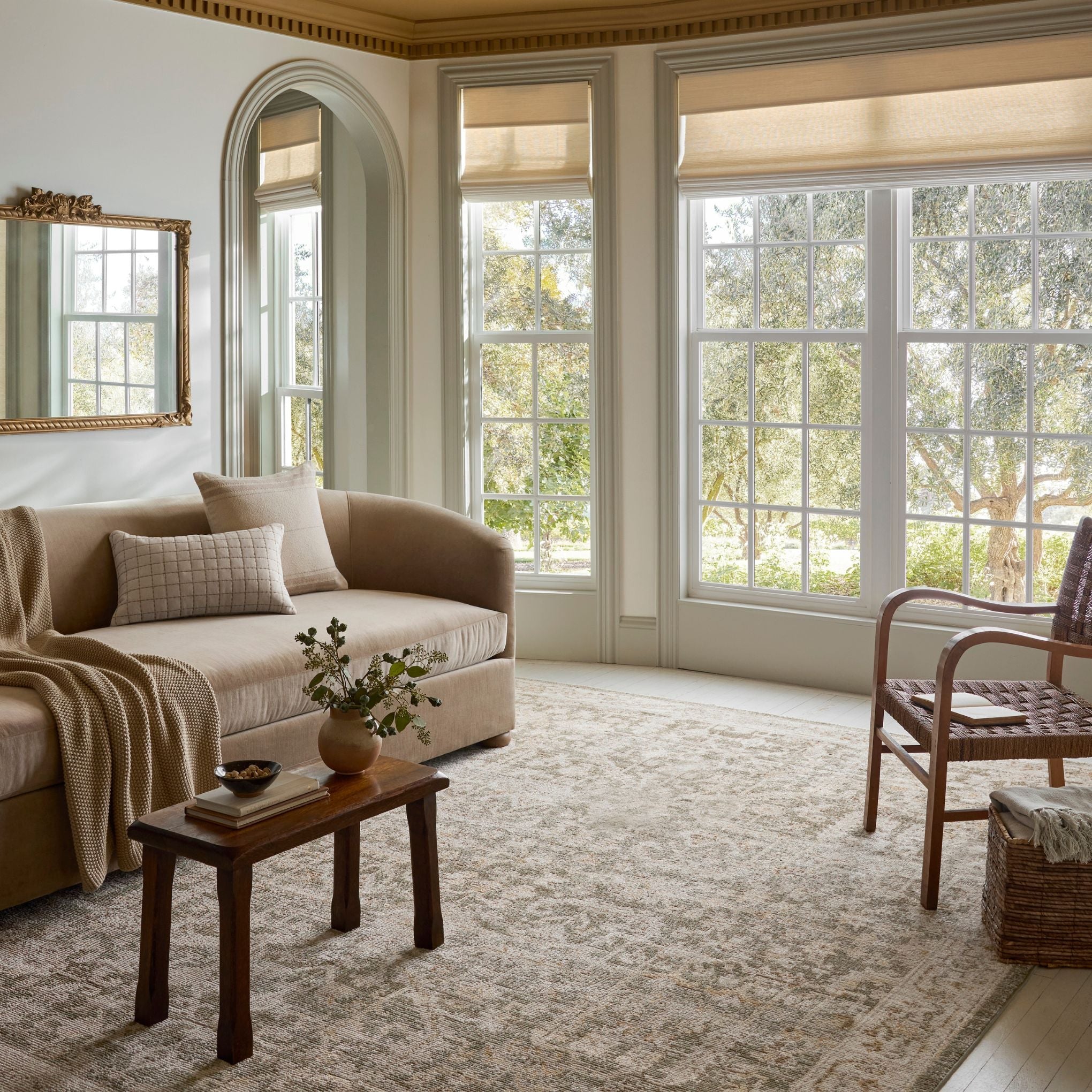 Pace Forrest Natural Rug