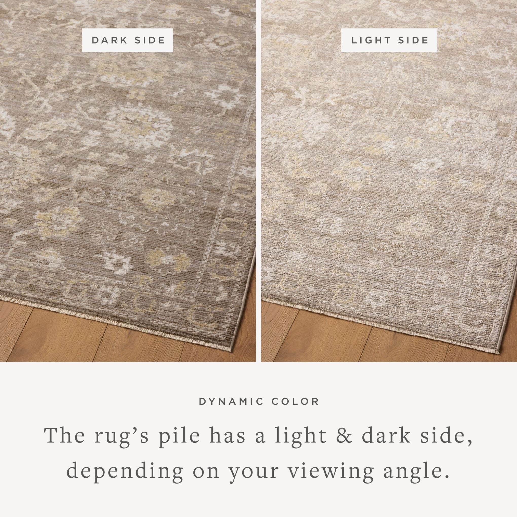 Pace Taupe Wheat Rug
