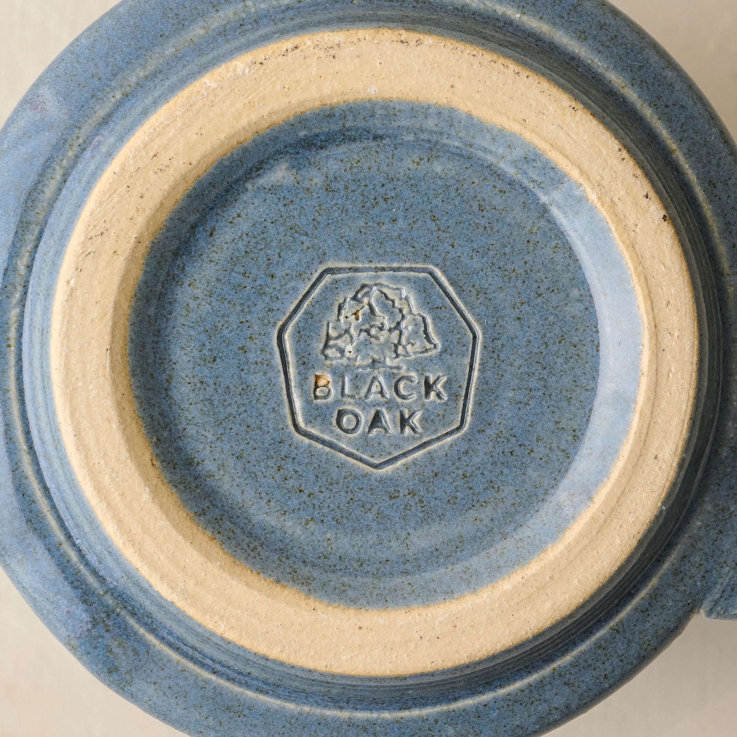 Magnolia Established Mug - Blue