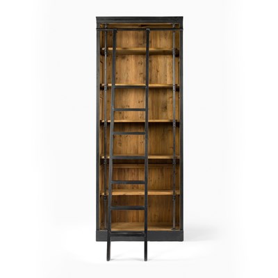 Ellory Bookcase and Ladder