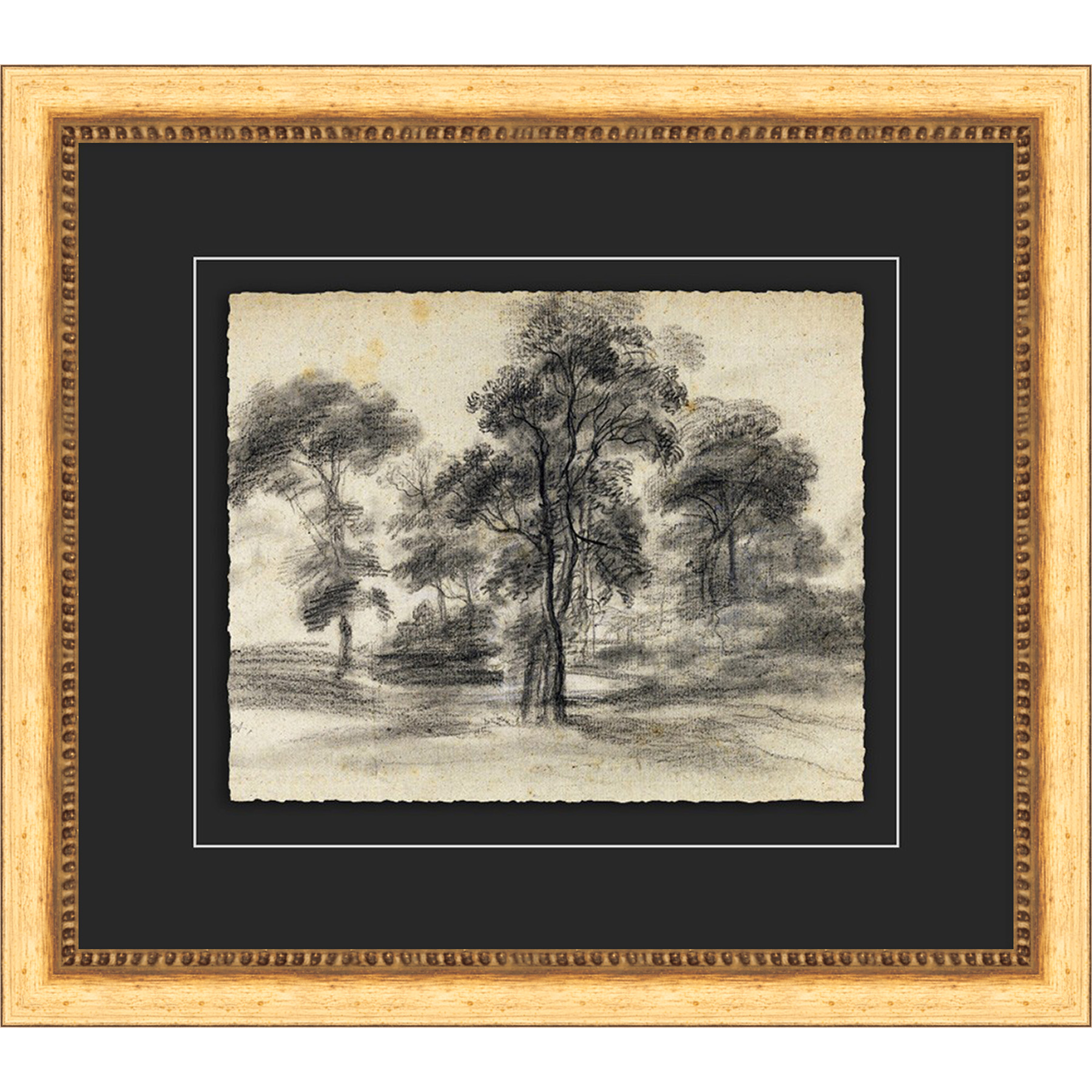 Tree Sketch