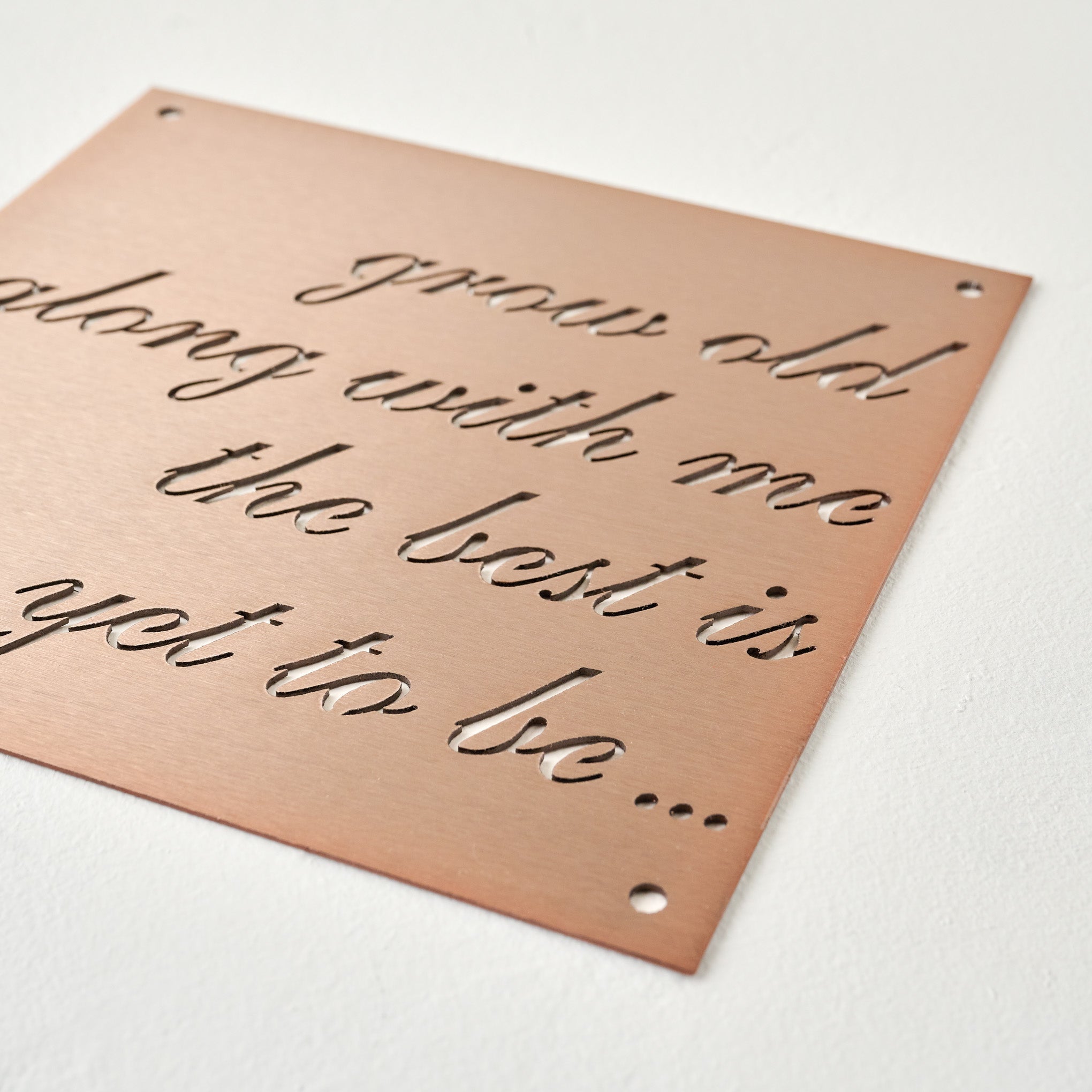 Grow Old Along With Me Sign