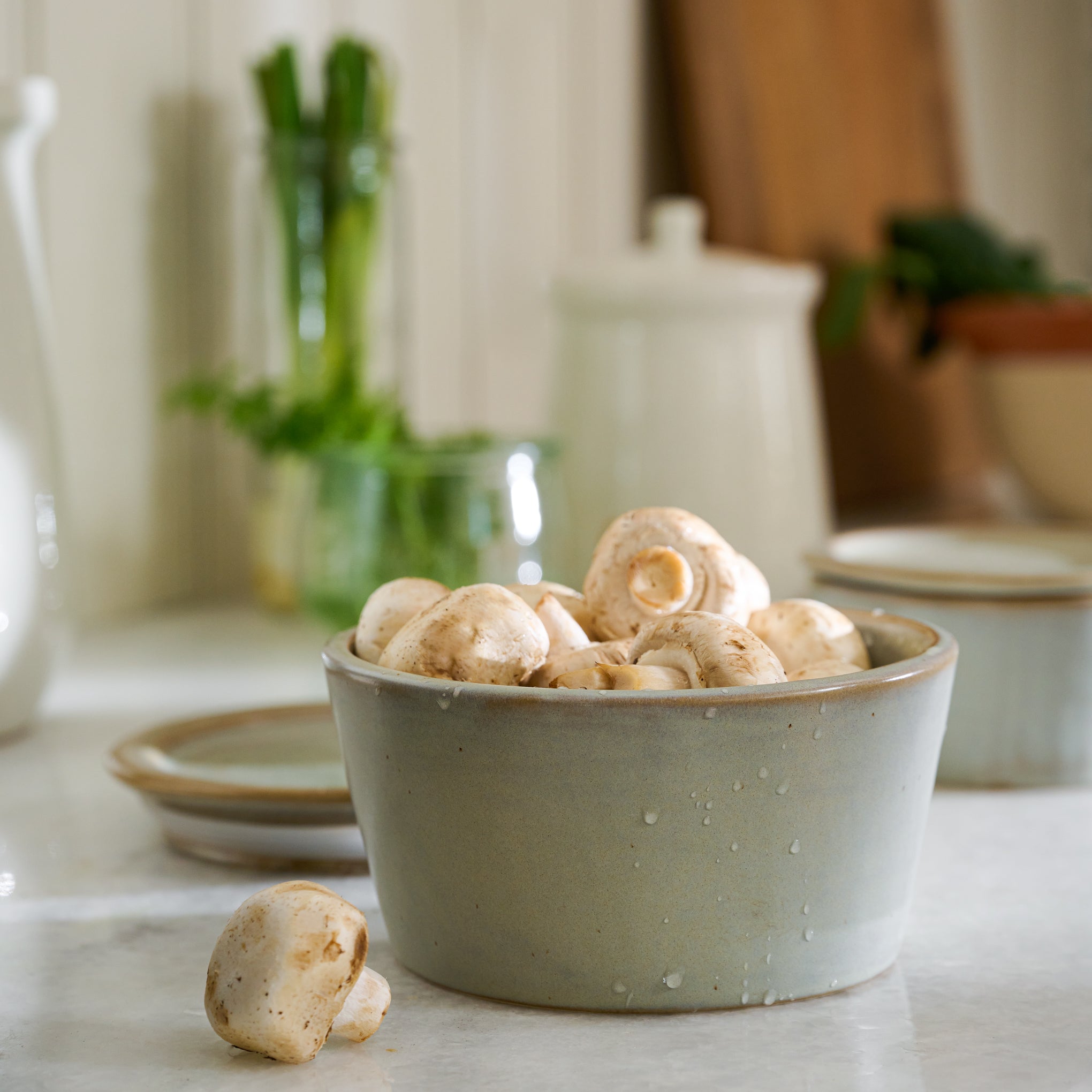 French Grey Ceramic Food Storage Bowl
