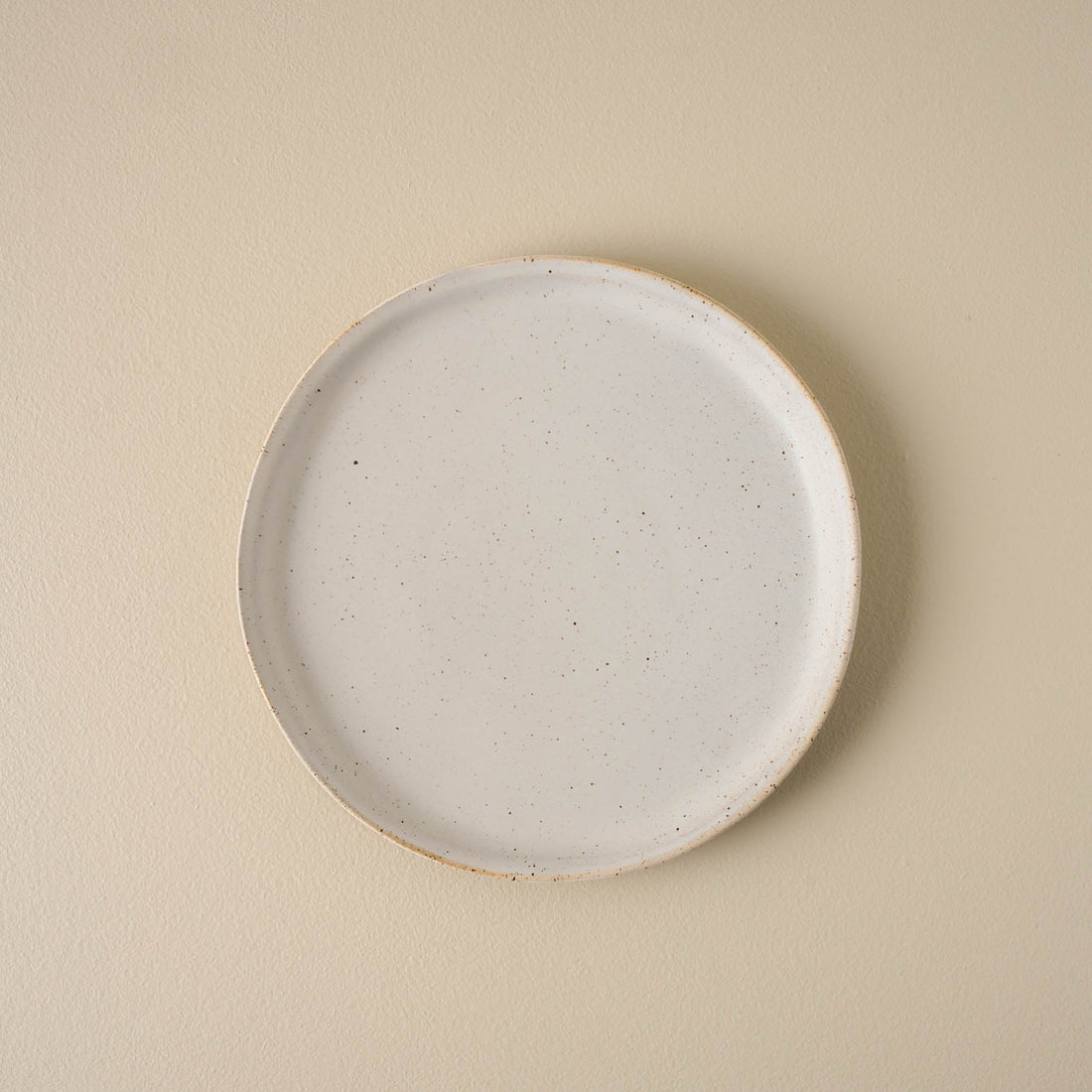 French White Speckle Plate