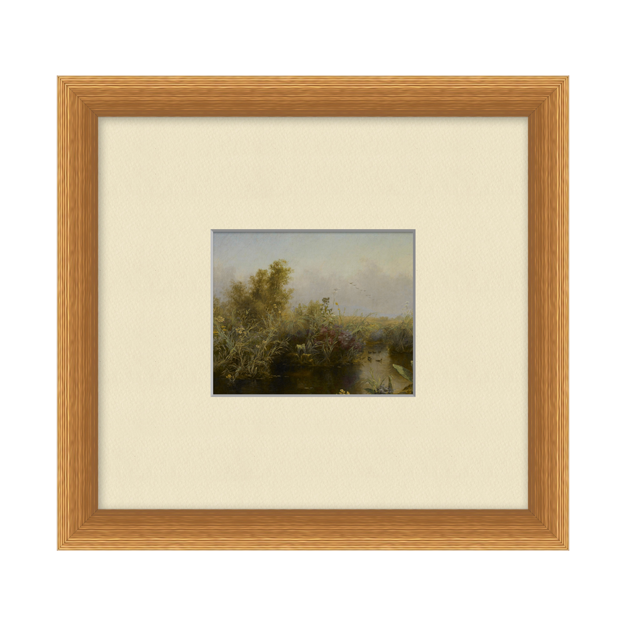 Estuary Study