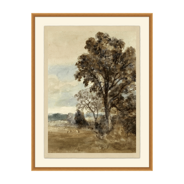 Maple Study