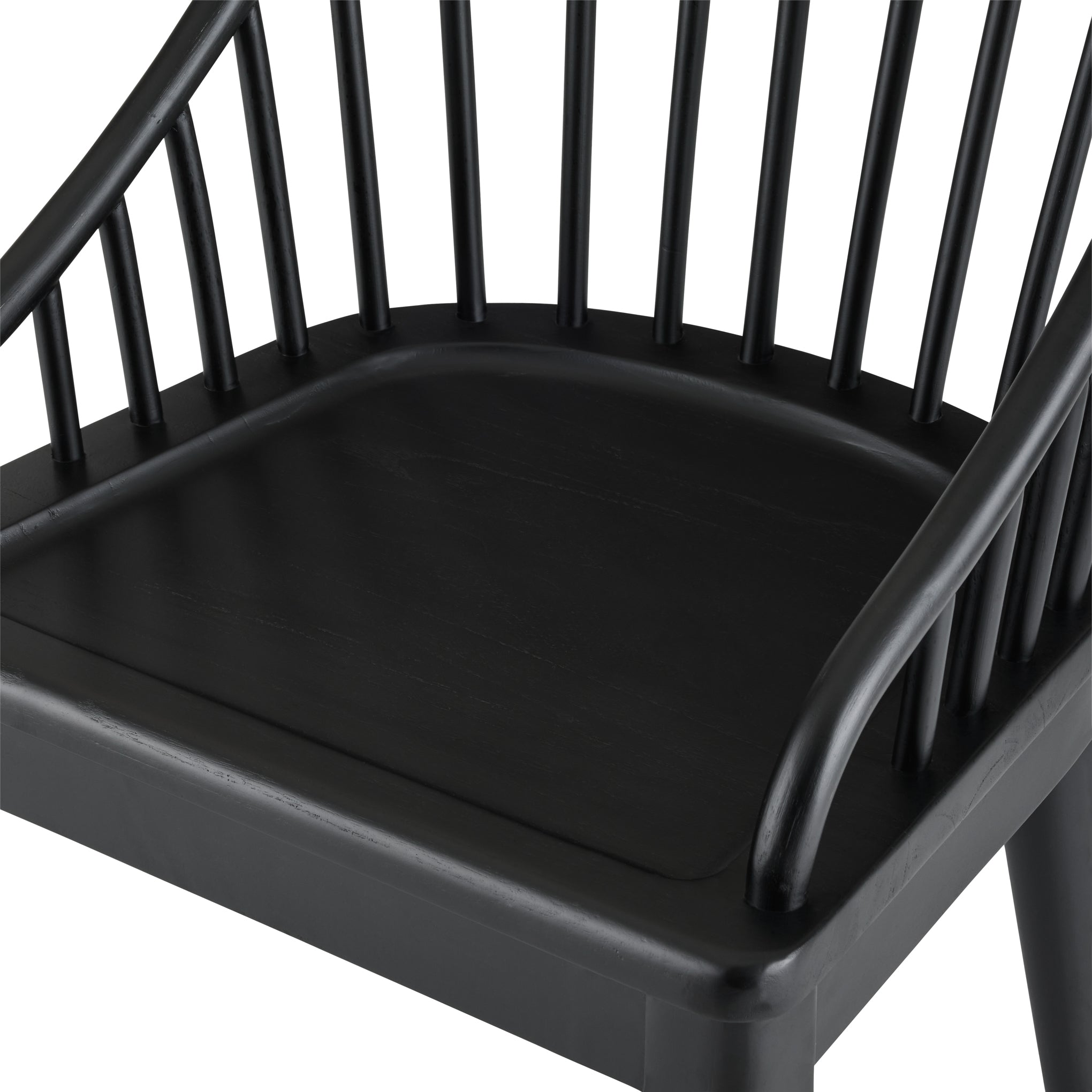 Carlotta Dining Chairs (Set of 2)