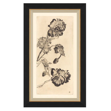 Vintage Peony I