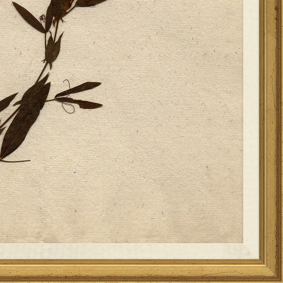 Pressed Floral II
