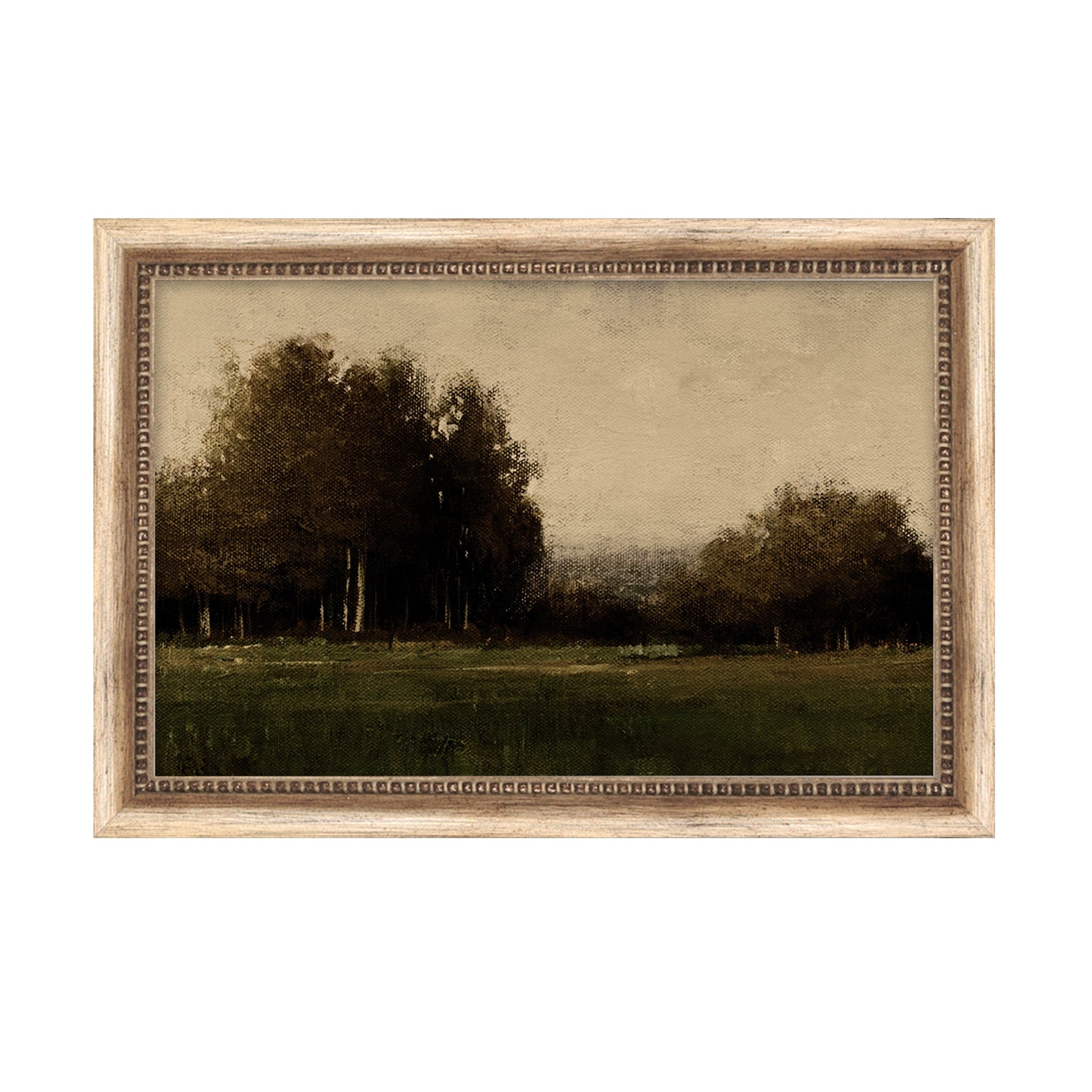 Petite Quiet Field